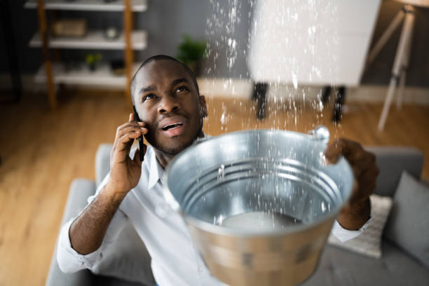 Best Professional water damage repair  in New Franklin, MO