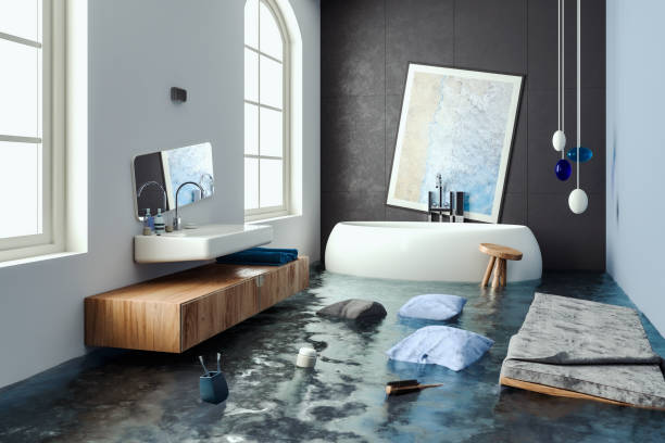 Best Commercial water damage restoration  in New Franklin, MO