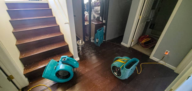 Best Basement water damage restoration  in New Franklin, MO