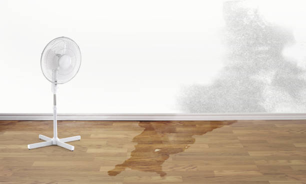 Best 24-hour water damage restoration  in New Franklin, MO