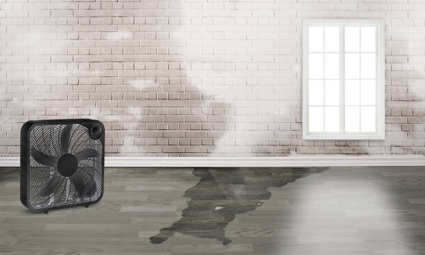 Best Emergency water damage restoration  in New Franklin, MO
