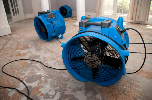 Best Flood damage cleanup  in New Franklin, MO