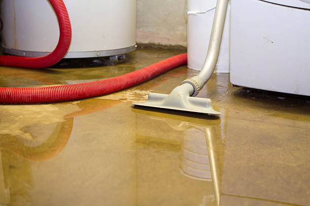 Best Residential water damage restoration  in New Franklin, MO