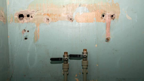 Best Water damage cleanup near me  in New Franklin, MO